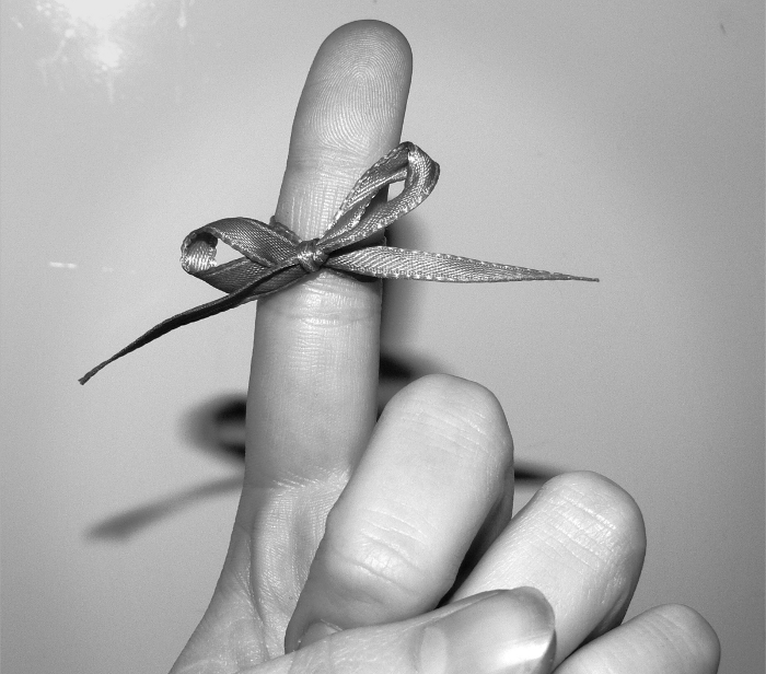 titolo articolo o alt immagine