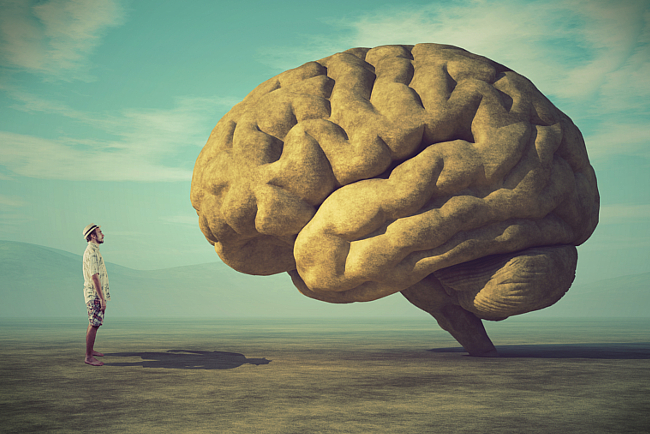 titolo articolo o alt immagine