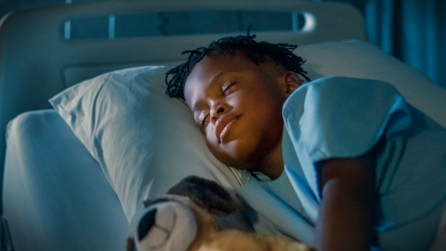 titolo articolo o alt immagine