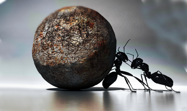 titolo articolo o alt immagine