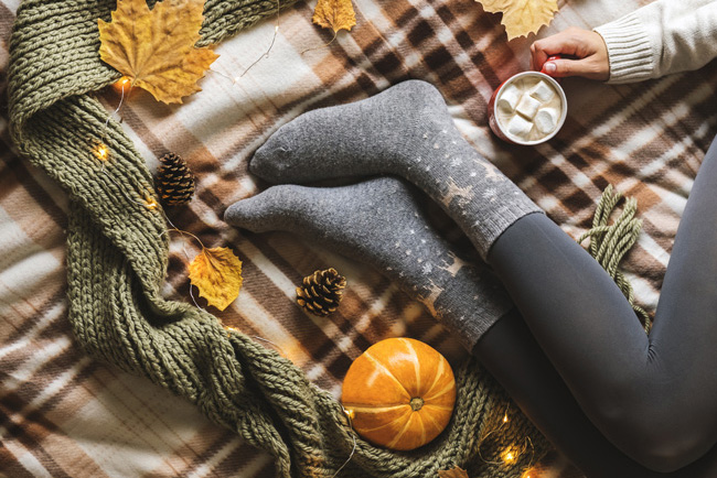 titolo articolo o alt immagine