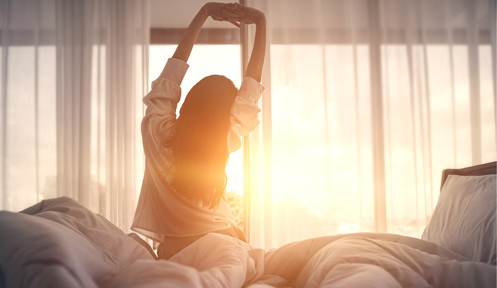 titolo articolo o alt immagine