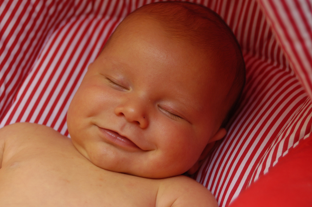 titolo articolo o alt immagine