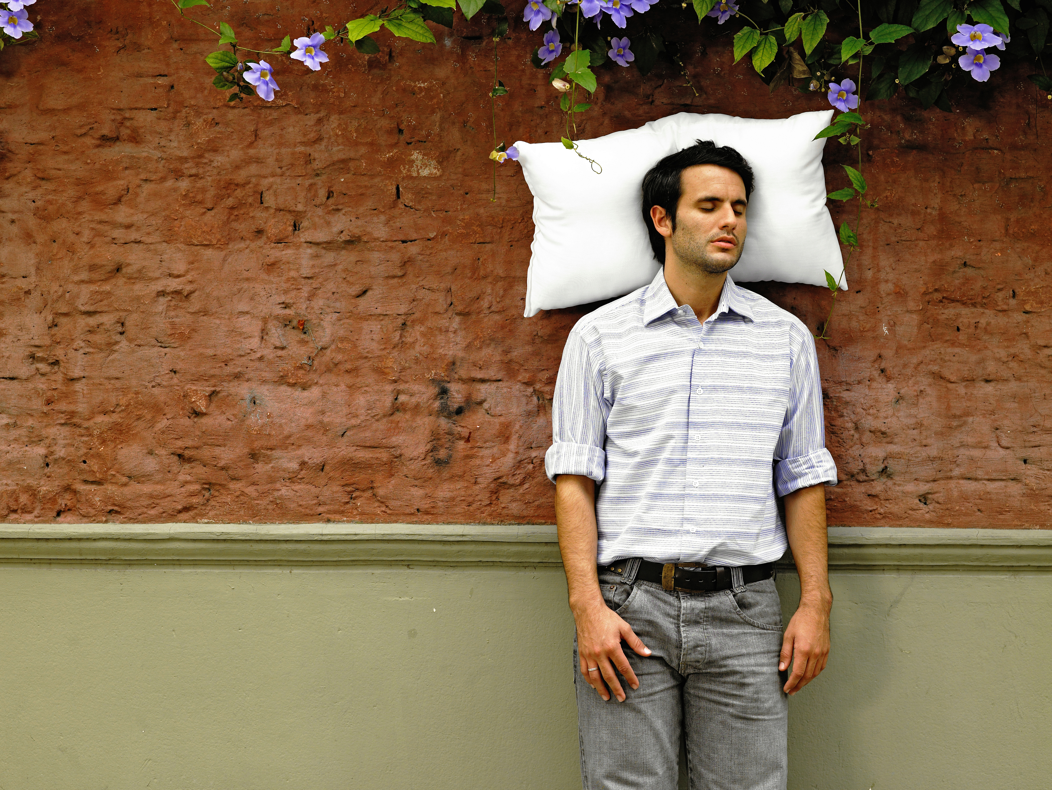 titolo articolo o alt immagine