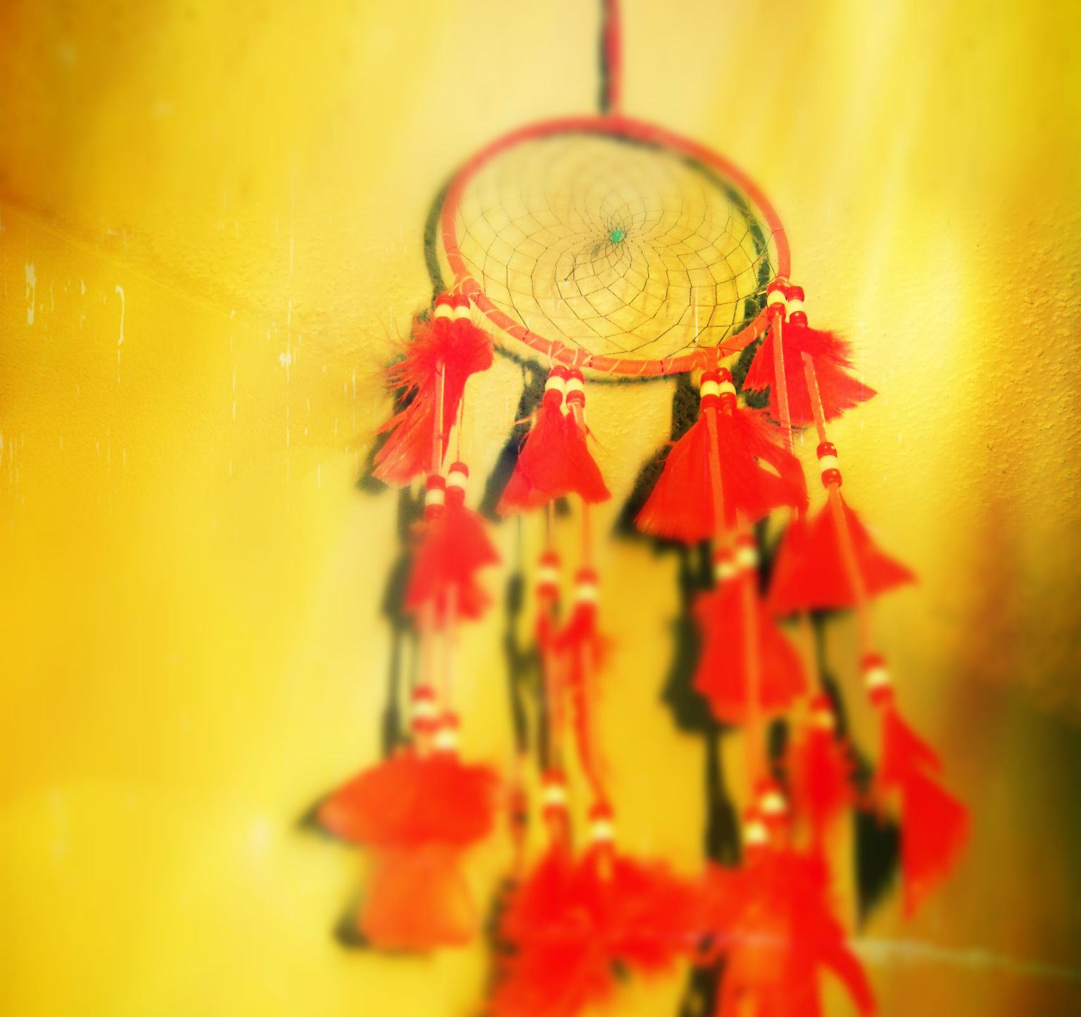 titolo articolo o alt immagine