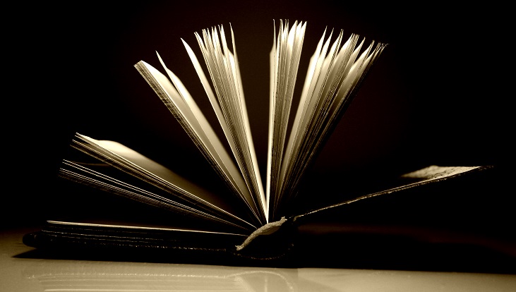 titolo articolo o alt immagine