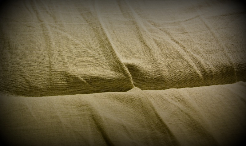 titolo articolo o alt immagine