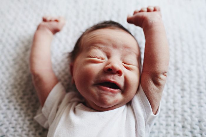 titolo articolo o alt immagine