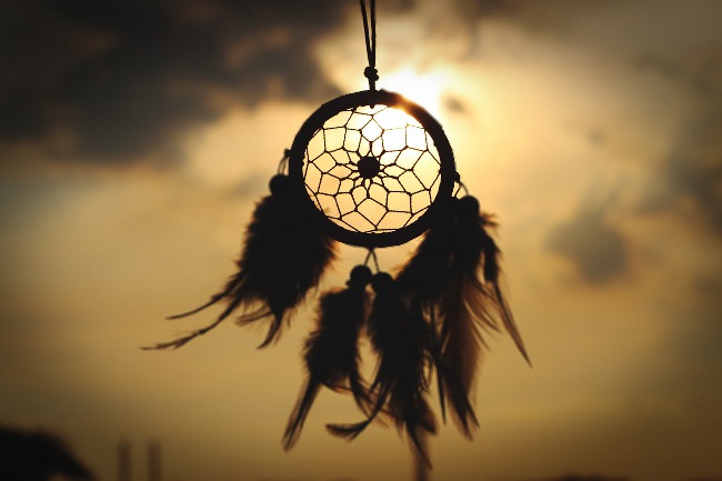 titolo articolo o alt immagine