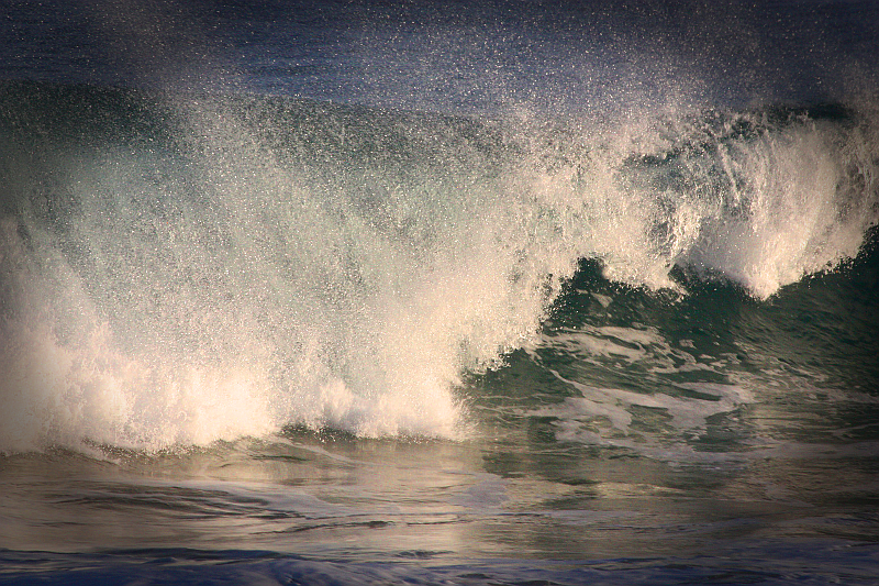 titolo articolo o alt immagine